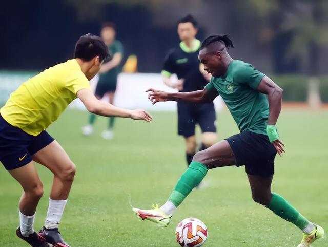 岭南暴熊队对阵关东雪豹队,冲浪超级杯险胜,内线统治篮板——回归即成焦点  岭南暴熊队对阵关东雪豹队,冲浪超级杯险胜,内线统治篮板——回归即成焦点