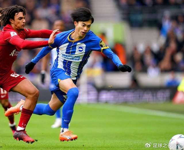  布莱顿足球官网 