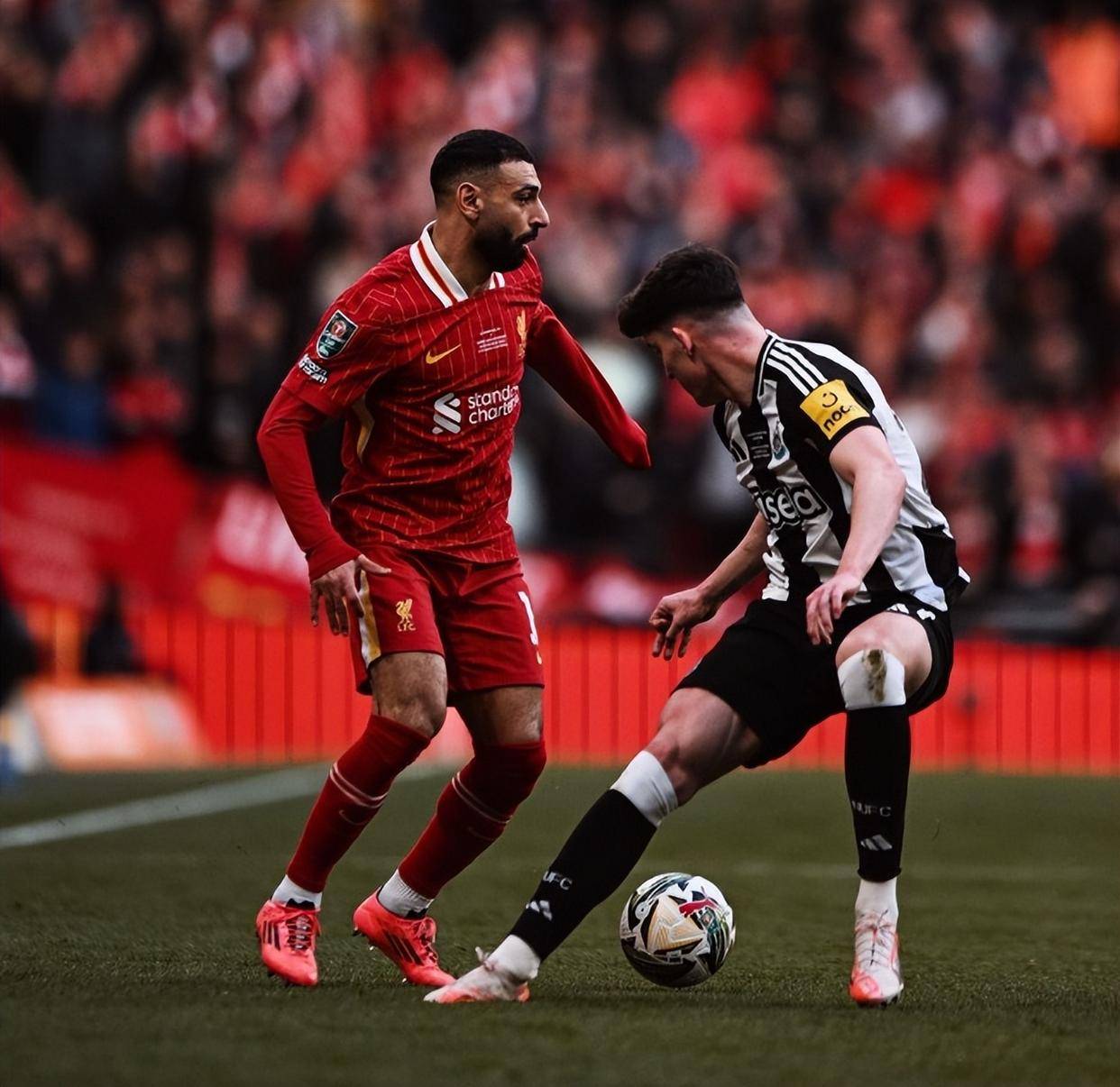 包含夏洛特黄蜂训练开放日；赛后再遭质疑引欢呼；欧冠在即；团队化学反应显著的词条